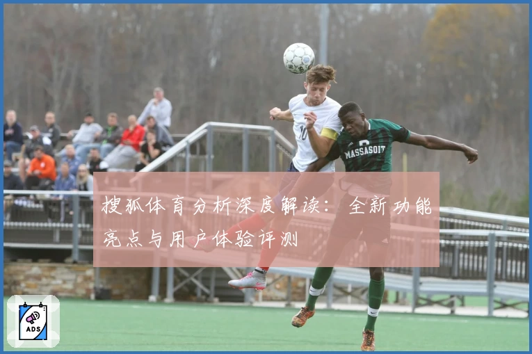 搜狐体育分析深度解读：全新功能亮点与用户体验评测