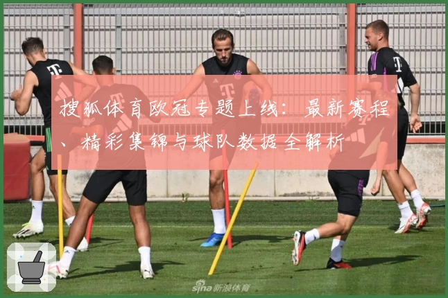 搜狐体育欧冠专题上线：最新赛程、精彩集锦与球队数据全解析