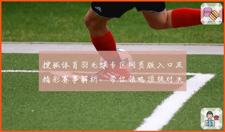 搜狐体育羽毛球专区网页版入口及精彩赛事解析，带你领略顶级对决魅力