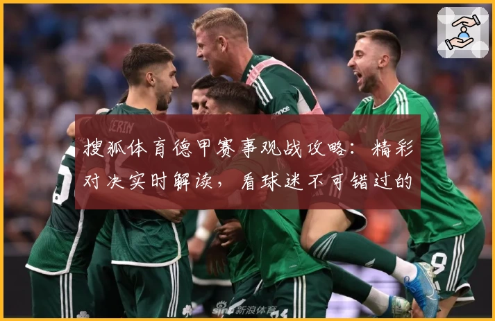 搜狐体育德甲赛事观战攻略：精彩对决实时解读，看球迷不可错过的功能亮点
