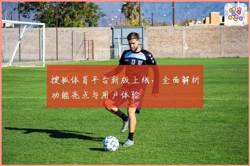 搜狐体育平台新版上线，全面解析功能亮点与用户体验
