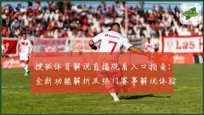 搜狐体育解说直播观看入口指南：全新功能解析及热门赛事解说体验