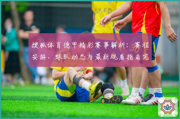 搜狐体育德甲精彩赛事解析：赛程安排、球队动态与最新观看指南完整版